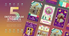 cinco de mayo mexican festival instagram reel 40107 cover 1