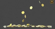 falling gold coins pack 214871 cover 1