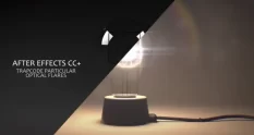 light bulb logo 43339 cover 1