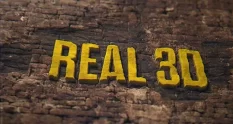 real 3d titles 31624 cover 1