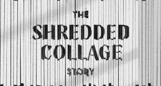shredded collage 3326150 cover 1