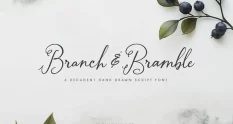 Branch Bramble Calligraphy Font 291206359 cover 1