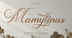 Mamylinus Beautiful Calligraphy 291430974 cover 1