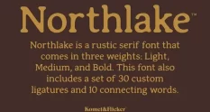 Northlake A Rustic Serif Font 290820017 cover 1