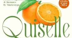 Quiselle Modern Serif Font 291180124 cover 1