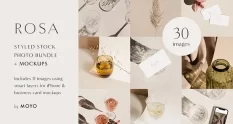 Rosa Stock Photo Mockup Bundle 3539424 cover 1