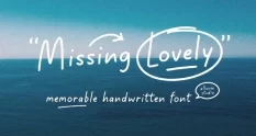 al missing lovely 14293 cover 1