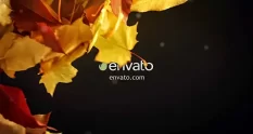 autumn logo 35821 cover 1