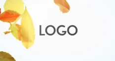 autumn logo dr 20723 cover 1