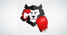 boxing gloves punch it 41373 cover 1
