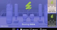 boxing intro 41426 cover 1