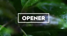 fast opener 29009 cover 1