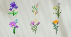 flower animation elements 27691 cover 1