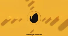 circle logo reveal 40936 cover 1