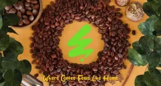 coffee beans logo 43352 cover 1