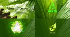 nature logo reveal 29788 cover 1