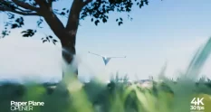 paper plane opener 39447 cover 1