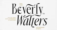 Beverly Walters Stylish Serif 291661428 cover 1