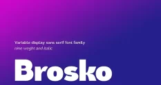 Brosko 291523940 cover 1