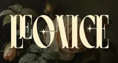 Leonice Display Font 291617538 cover 1