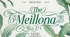 Meillona Typeface 291657251 cover 1