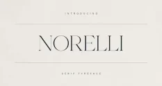 Norelli A Modern Serif Typeface 291543335 cover 1 1