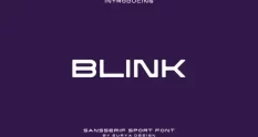 blink sport font 33625 cover 1