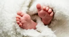 low section baby feet 101058850 cover 1