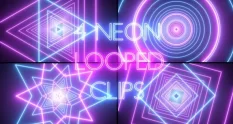 neon 4 pack 36402 cover 1