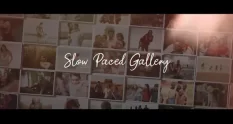 slow paced gallery 23261 cover 1