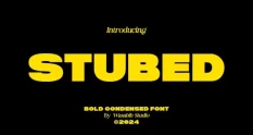 ws stubed 29939 cover 1