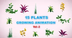 15 growing plants animation pack vol 2 38233 cover 1