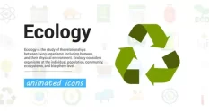 ecology icons 36147 cover 1
