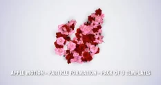 particle logo title formation 28359 cover 1