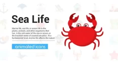sea life icons 20207 cover 1