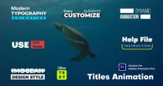titles animation 8863 cover 1