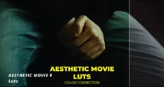 luts aesthetic movie 17225 cover 1